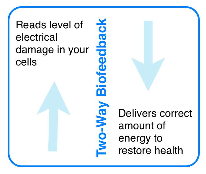 Chart to illustrate how muscle recovery time is reduced when there is two-way biofeedback about the damaged cells