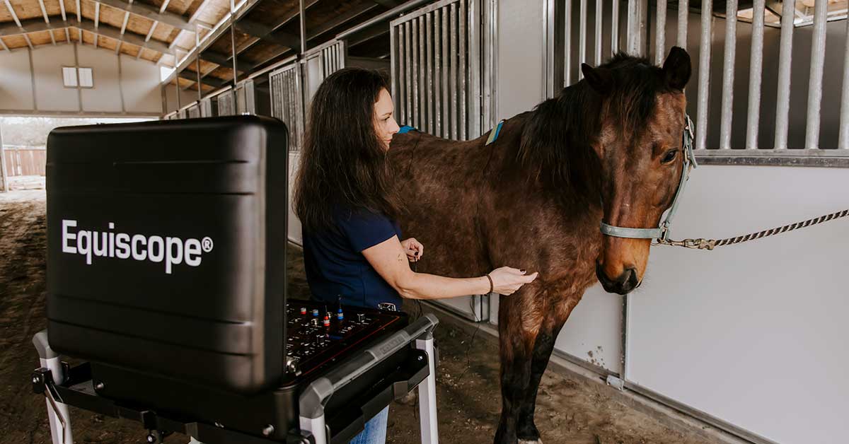 Equine Therapy With Electro-Equiscope