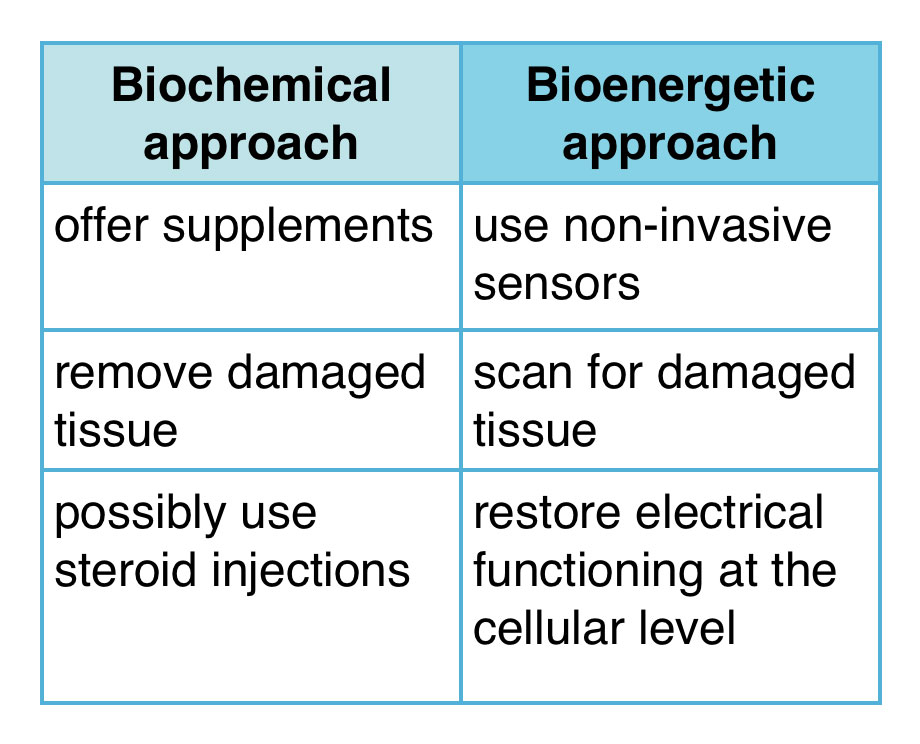 chart about inflammation in the body showing the bioenergetic approach versus the biochemical approach