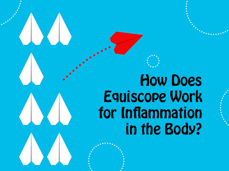 How Does Equiscope Work For Inflammation in the Body?