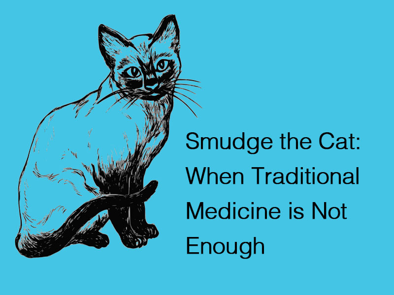line art of a cat to illustrate when traditional medicine is not enough to help a cat