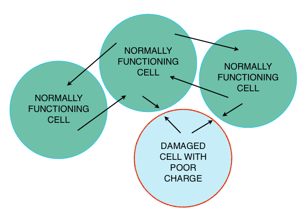 graphic of normal and damaged cells to help illustrate how disc problems result from damaged cells not communicating properly