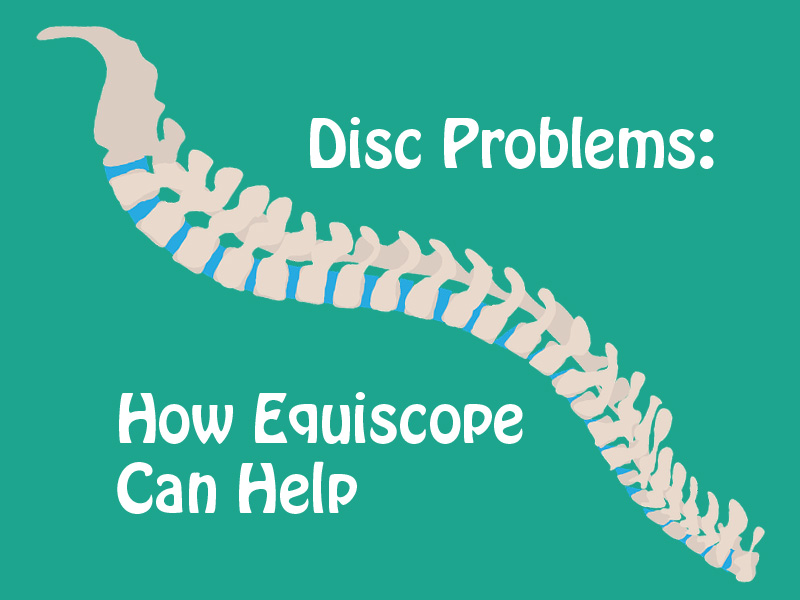 Disc Problems: How Equiscope Can Help Remove Pain