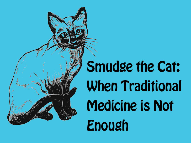 graphic of cat to illustrate when traditional medicine is not enough
