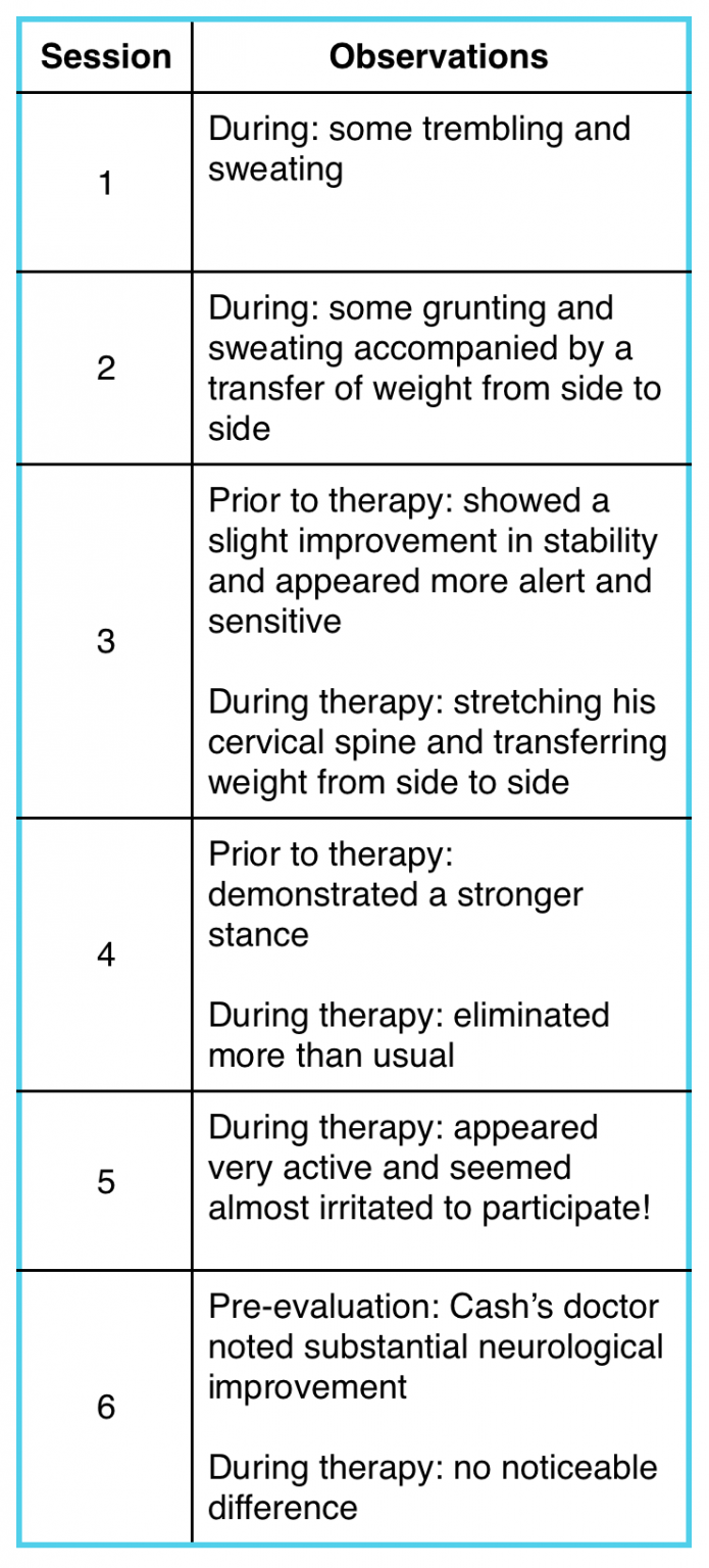 ElectroEquiscope Equine Brain Infection Meets Equiscope Therapy