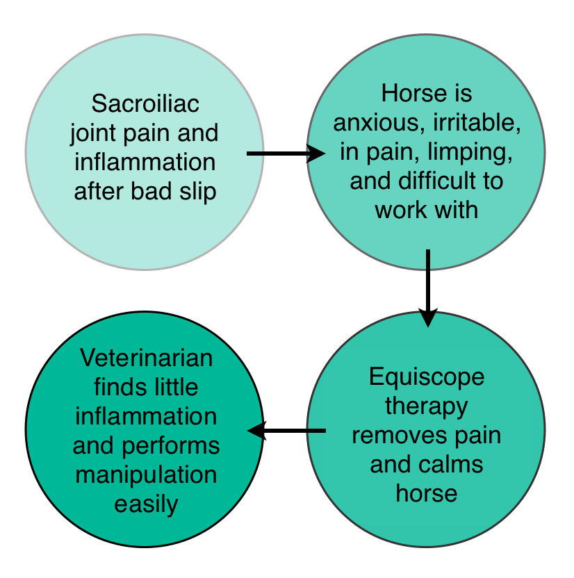 chart to show process of healing pain and inflammation