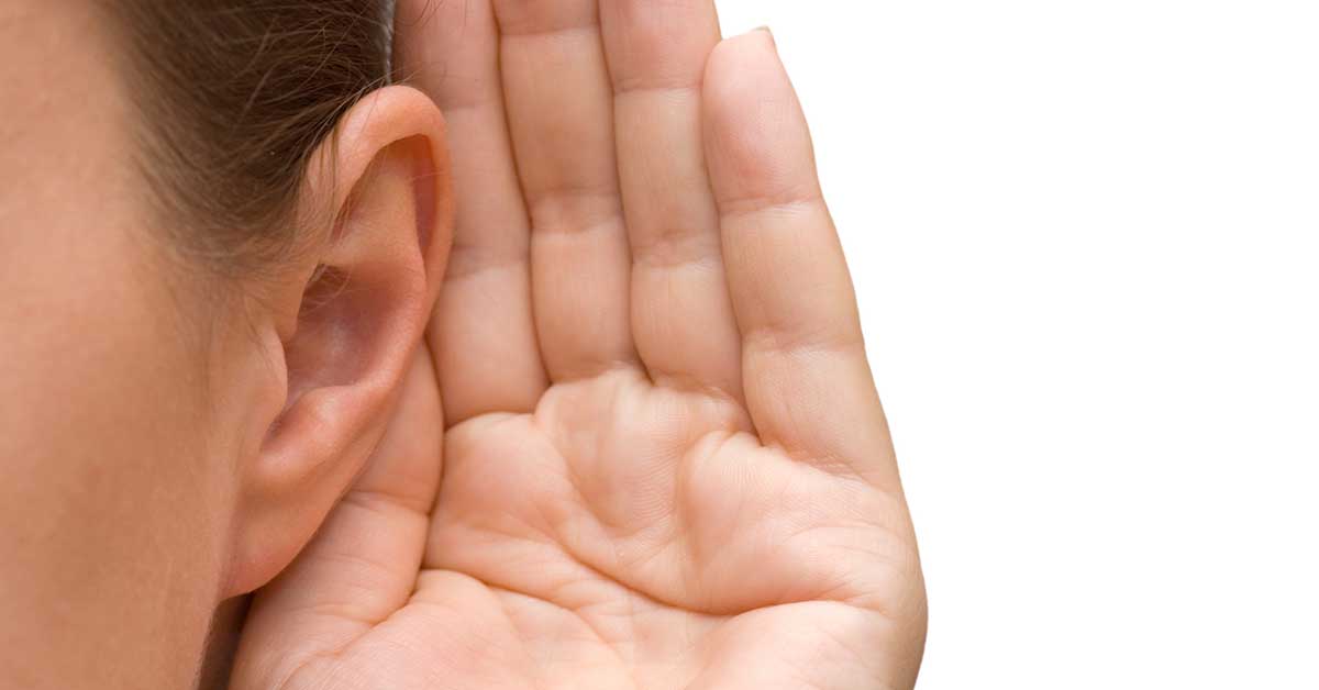 The Ear and Auricular Protocol in Equiscope Therapy
