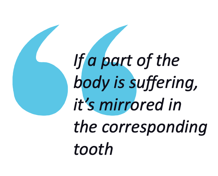 quote from the text related to the odonton tooth/organ connection