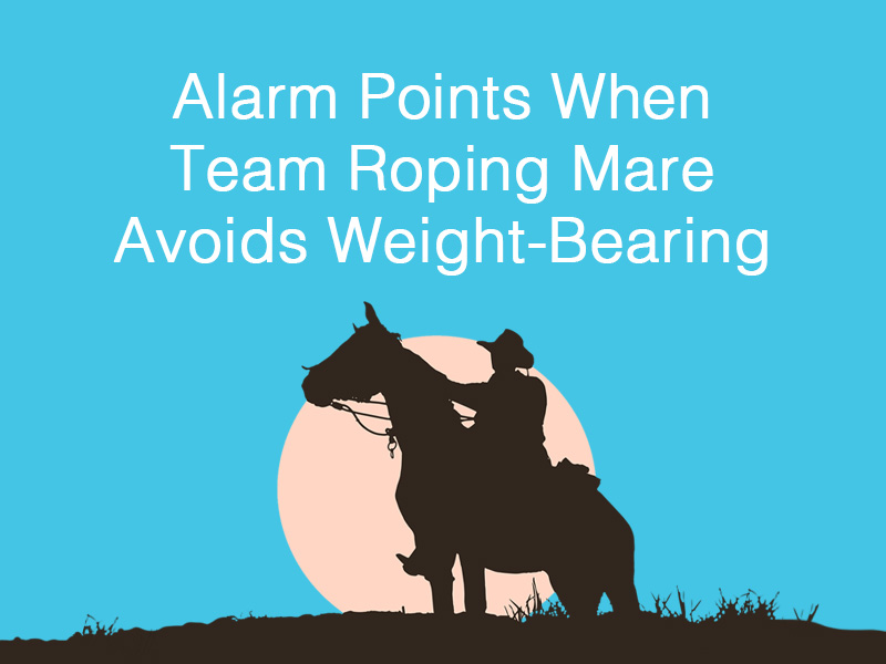 silhouetted horse rider to illustrate alarm points treatment on a horse