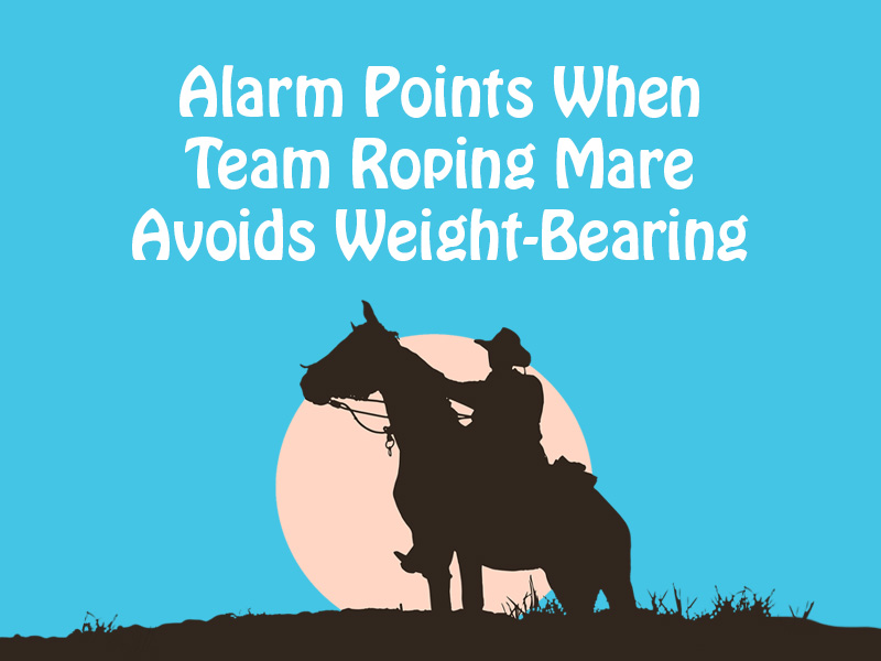 Alarm Points When Team Roping Mare Avoids Weight-Bearing