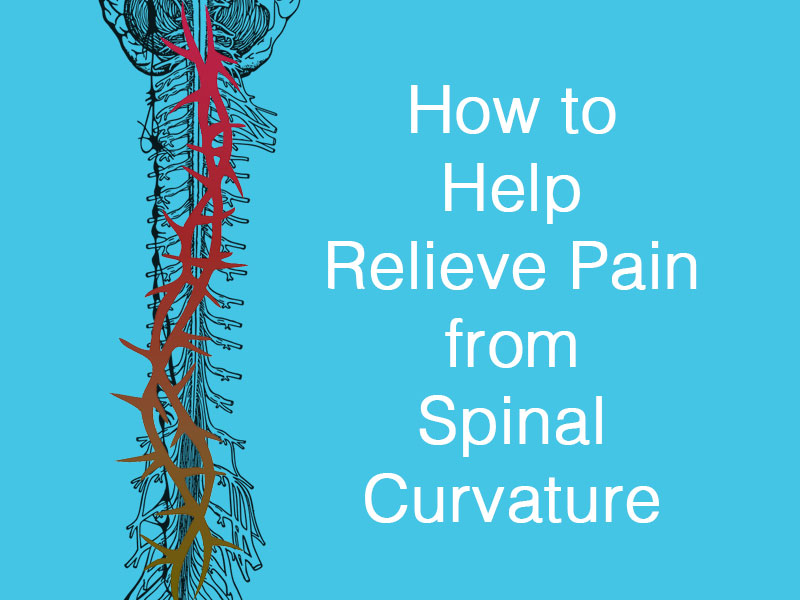 graphic of spine to illustrate spinal curvature pain