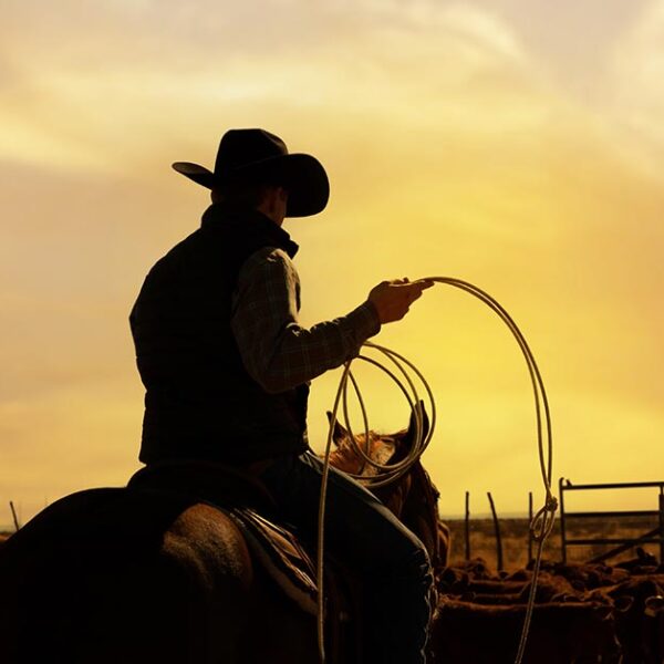 When Your Roping Hand Has Problems