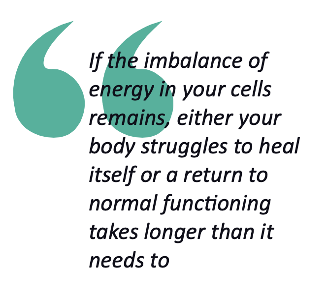 a quote from the text about the cellular response to insect bites