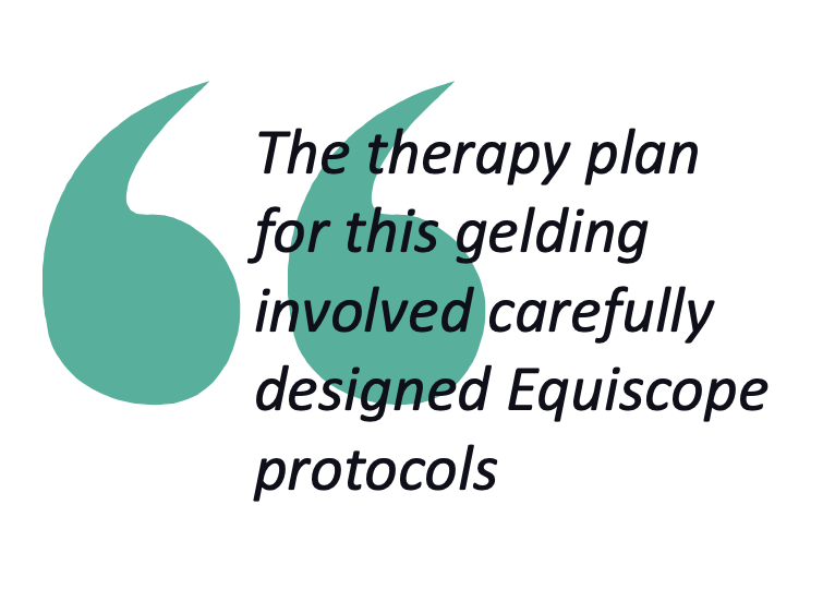 Pull quote from the text about the Equiscope protocols for reducing inflammation