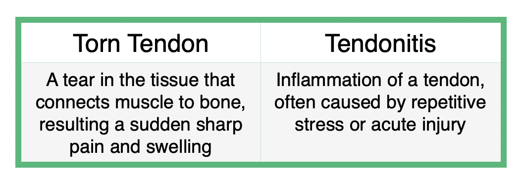 chart showing difference between a torn tendon and tendonitis