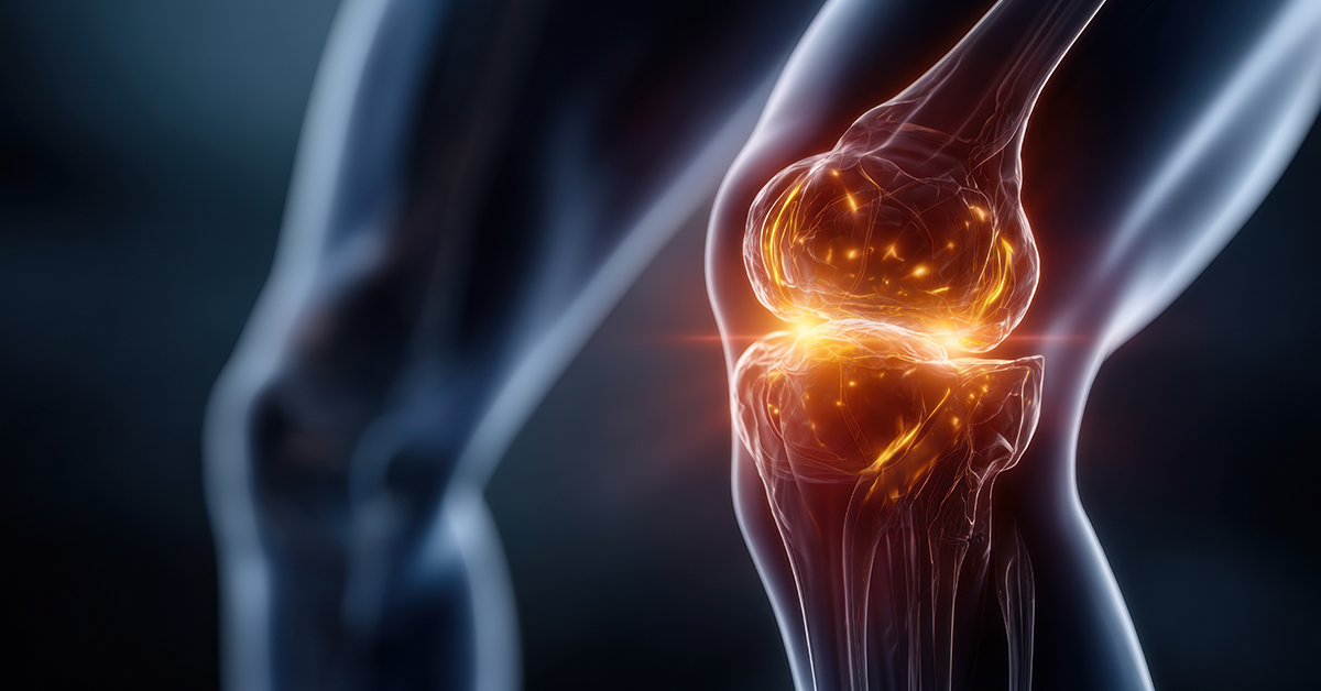 Easing the Weight of Service: A Veteran’s Renewed Strength Through Equiscope Protocols